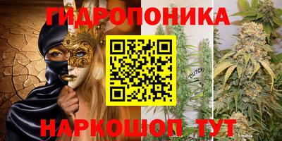 apvp Новодвинск
