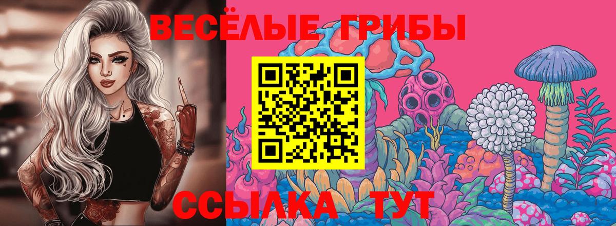 Галлюциногенные грибы мухоморы  Вход с VPN  где можно купить наркотик  Псилоцибиновые грибы мухоморы  Сосновый Бор 