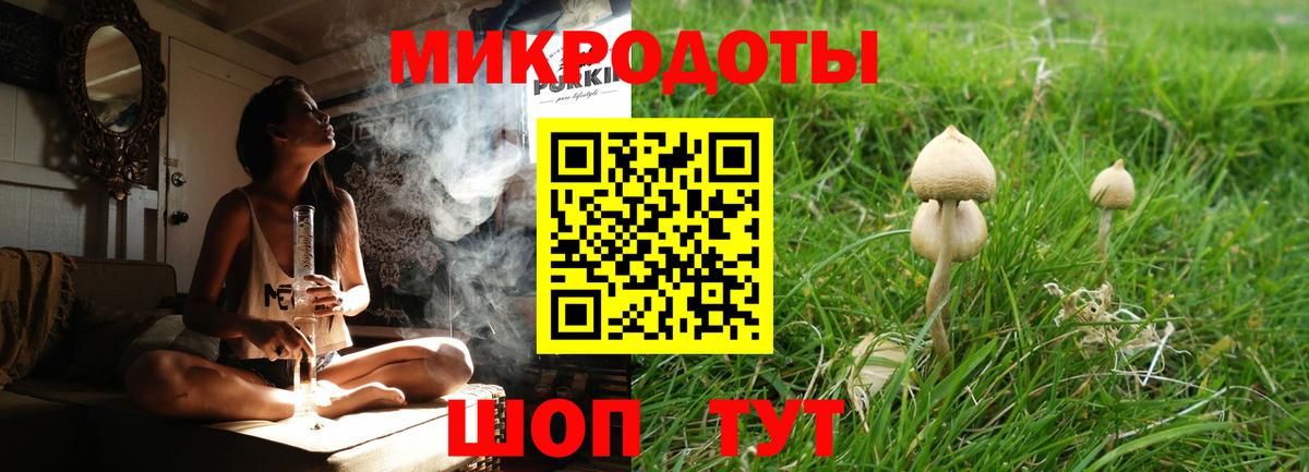 Галлюциногенные грибы мухоморы Сосновый Бор