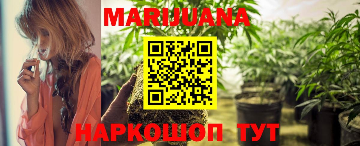 МАРИХУАНА ГИДРОПОН  Бошки марихуана планчик  Вход с VPN  Конопля сатива  Сосновый Бор  Каннабис SATIVA & INDICA 